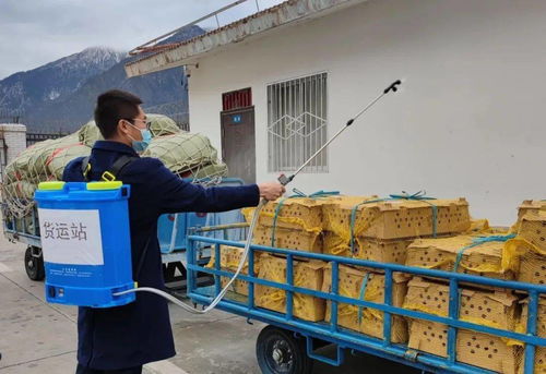 林芝强化冷链食品运输监督管理，保障货物运输安全